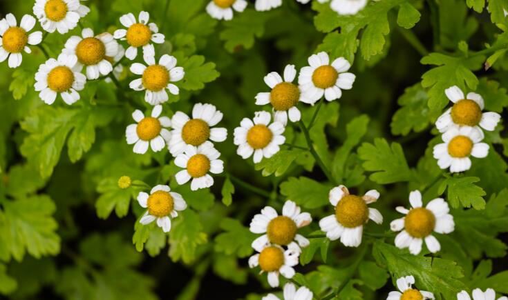 20210915165236be184a83f1ec436f9455fca6481e4777 20210915165236be184a83f1ec436f9455fca6481e4777