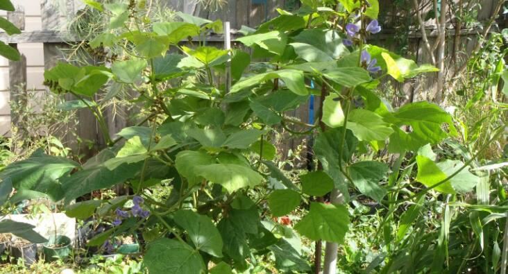 20210926170232dc8a9e0db4264779a4217d9297af3e30