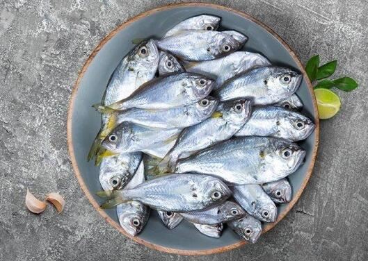 20211021171612b93e5c3eab40462082b8c2e5915aeda9 20211021171612b93e5c3eab40462082b8c2e5915aeda9