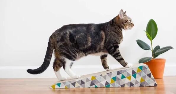 202111221630217e63a57deb814144abbe3d3db23f48d9