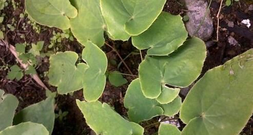 20201113153430346abf2640734d48ae2feefa3cb248eb-1 20201113153430346abf2640734d48ae2feefa3cb248eb-1