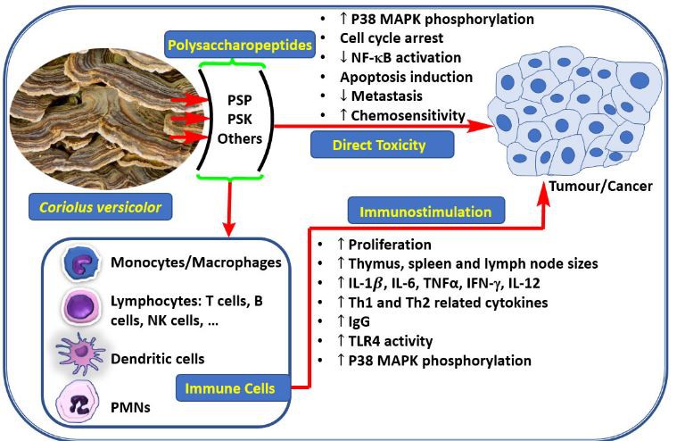 20210119134259dd015194bcb1400cb2cf34cb8f08a1e1-6 20210119134259dd015194bcb1400cb2cf34cb8f08a1e1-6