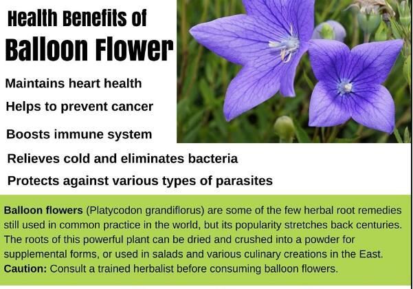 20210220102335f1cb1ffd07eb408d973e7867cbbc1331-1 20210220102335f1cb1ffd07eb408d973e7867cbbc1331-1