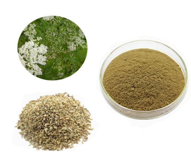 2021072713391499c71de2b76b49f1af4ac6504e7e8a06 2021072713391499c71de2b76b49f1af4ac6504e7e8a06