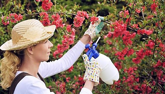 20210727151754696670be36c140aea18fa809b4c85a5d