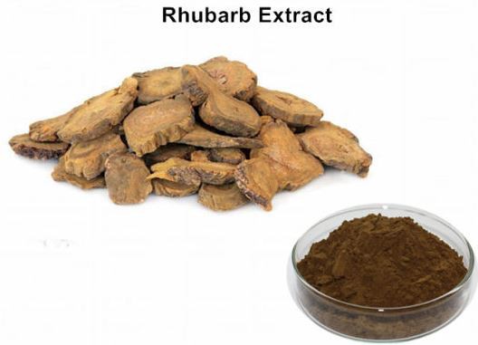 202107301559586233fb9f00544d41bc597028234110c5-1 202107301559586233fb9f00544d41bc597028234110c5-1