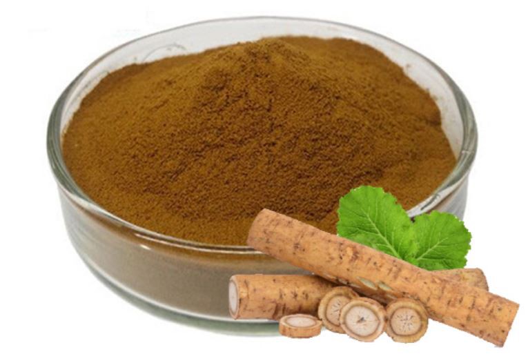 202108021628250aaeadced1c24af7aafab68033ff9654 202108021628250aaeadced1c24af7aafab68033ff9654