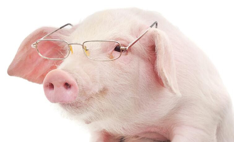 2021080911514042be063410b541dc9c61008847df5ae8-17 2021080911514042be063410b541dc9c61008847df5ae8-17