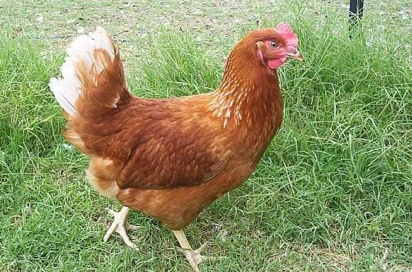 20210810162908558abb7db2ff45c6be1af1c381d242aa-7 20210810162908558abb7db2ff45c6be1af1c381d242aa-7