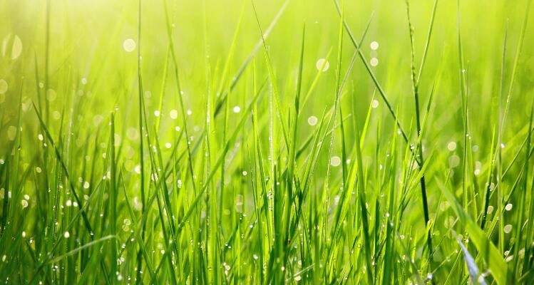 2021081215314888f95b065fe64b39b6f84ef1203fd041-3 2021081215314888f95b065fe64b39b6f84ef1203fd041-3