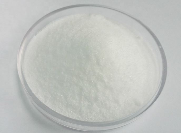 20210831101305af9c589d25184255a644365c395c4992 20210831101305af9c589d25184255a644365c395c4992