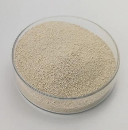 202109061607179297928c26b54ace9e2389f184d61055 202109061607179297928c26b54ace9e2389f184d61055