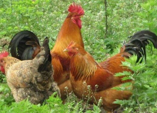 20210915154341c6c78716657a400d8eaa370c54a7a5cd 20210915154341c6c78716657a400d8eaa370c54a7a5cd