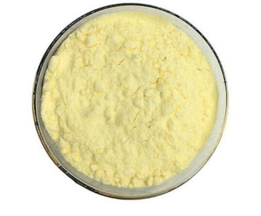 20210918155003a5ea435a087e4dbe9f5395c2271457ae 20210918155003a5ea435a087e4dbe9f5395c2271457ae