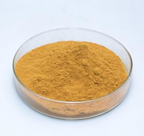 20210924154811225a1f16bae745e1a35691aae6bbca42-1 20210924154811225a1f16bae745e1a35691aae6bbca42-1