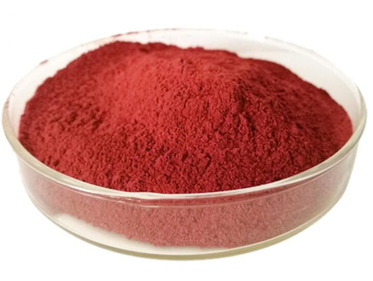 202110281521349fd7f977c31846a99eeb518059a6aa16 202110281521349fd7f977c31846a99eeb518059a6aa16