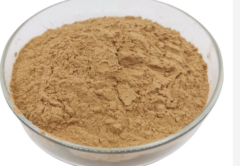 202111121531098662949b09d34ae6bdb6234eecfc6ef5 202111121531098662949b09d34ae6bdb6234eecfc6ef5