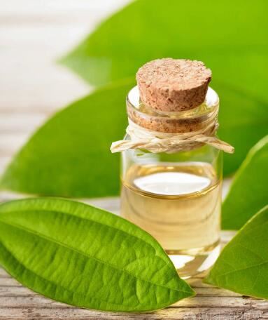 20211117153404503c66be00484c8ca6b94402c7713235 20211117153404503c66be00484c8ca6b94402c7713235