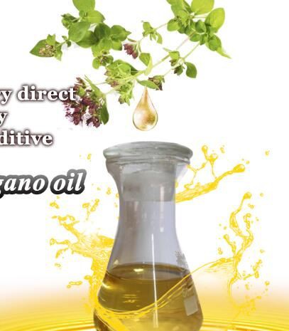 20211118152805f3fd081e8fd34afc8ecc13a8cb6d915e 20211118152805f3fd081e8fd34afc8ecc13a8cb6d915e