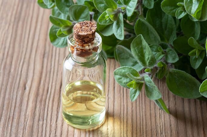 202111181553065537c68246e14b279f82f17c943241a2 202111181553065537c68246e14b279f82f17c943241a2