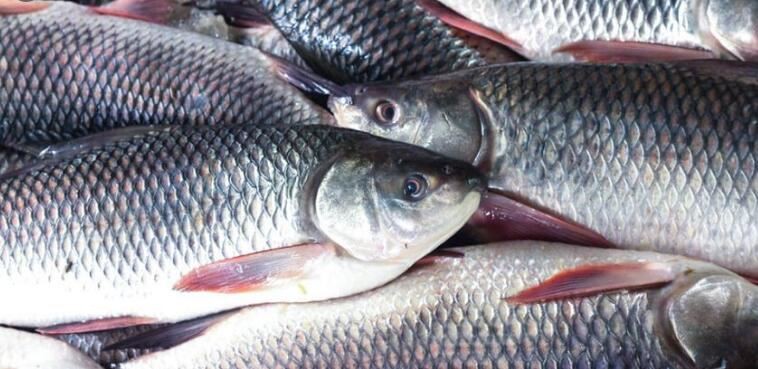 20211202153921676b3368886e452bbe0c37eb7fb2fdde-3