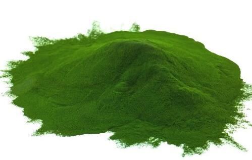 20211202154016c69fd40031e3436cb74a61c99d111ef0