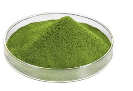 2021120614420575f366731511488fbe9a9f80a823c34a