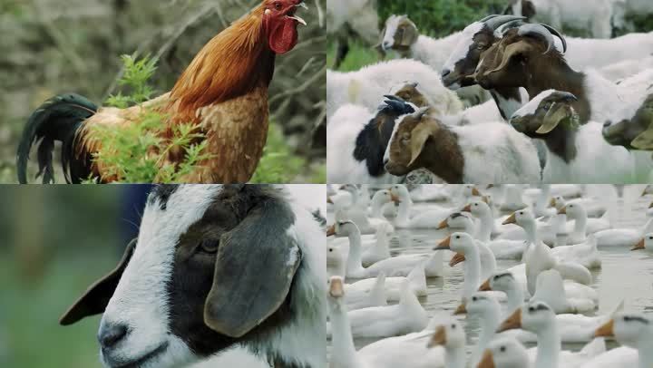 20211207142207fa10a97eccf049a9a2516405364db66b-4 20211207142207fa10a97eccf049a9a2516405364db66b-4