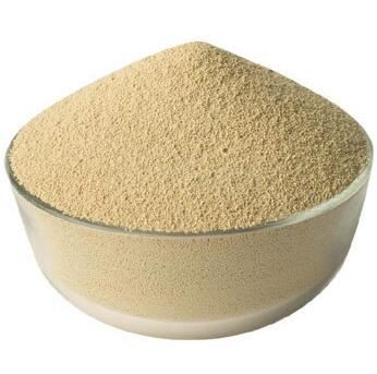 202112211624192a7b029d09da4a8b9f97ff143c135a85-5 202112211624192a7b029d09da4a8b9f97ff143c135a85-5