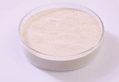 20211224092324d67a6199b72f4a6a81ec11a1dee218c7