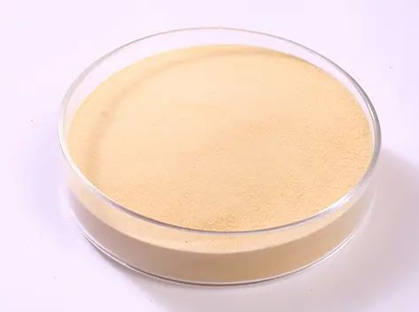 20211230095751dda78995a4d74a8fbc472c80e6819769-1 20211230095751dda78995a4d74a8fbc472c80e6819769-1