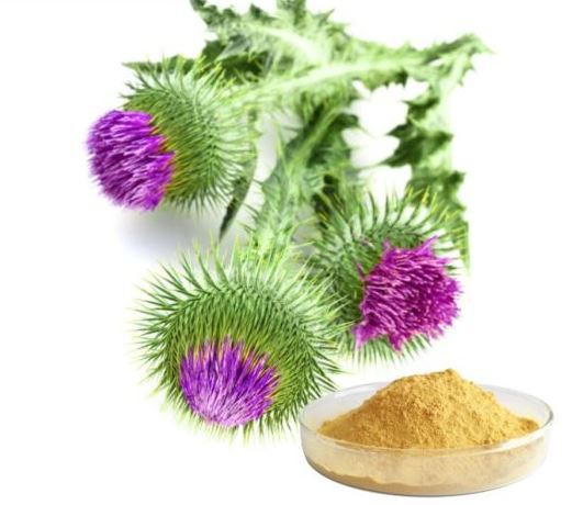 20220119123504860af6f6e9334c80a797a9538b82e0a2 20220119123504860af6f6e9334c80a797a9538b82e0a2