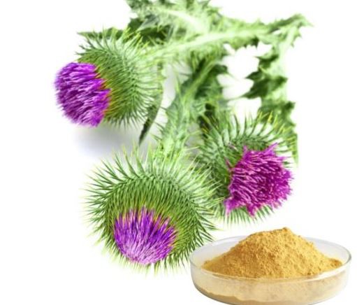 20220120132648e8a39ff2136644aebf08534c3f042d09 20220120132648e8a39ff2136644aebf08534c3f042d09