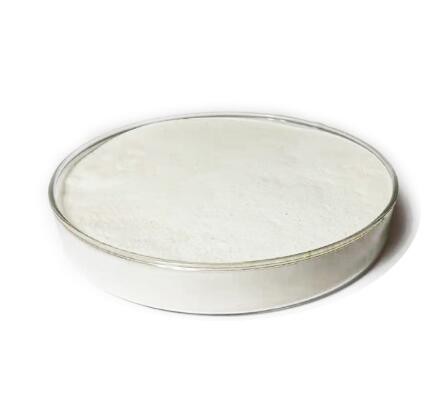 20220129114524e0d3e497d7944c25b20556a483c3a6d1-1 20220129114524e0d3e497d7944c25b20556a483c3a6d1-1