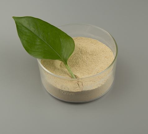 202202111350337688d516e9db459c8b69e70e2bc431e1-1