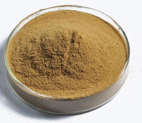 20220211141802d015ab4880d94a899c46f63d9c6a0de5-2 20220211141802d015ab4880d94a899c46f63d9c6a0de5-2