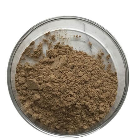 202202241556573d10fe58ca034a609306340887fe6951 202202241556573d10fe58ca034a609306340887fe6951