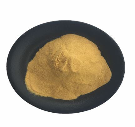 202203221057347534aa95a9a443bb872666c54ea5aef4 202203221057347534aa95a9a443bb872666c54ea5aef4