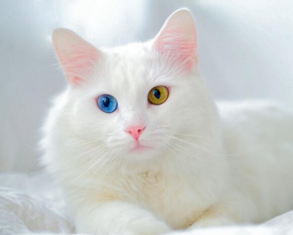 202203251329288c947505a0fc434ea711359c8ba8dc43-1 202203251329288c947505a0fc434ea711359c8ba8dc43-1