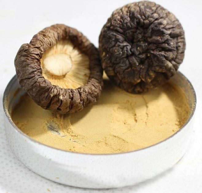 20220421105829aaeb8adad7584d81af6cdd6d031b6973-1 20220421105829aaeb8adad7584d81af6cdd6d031b6973-1