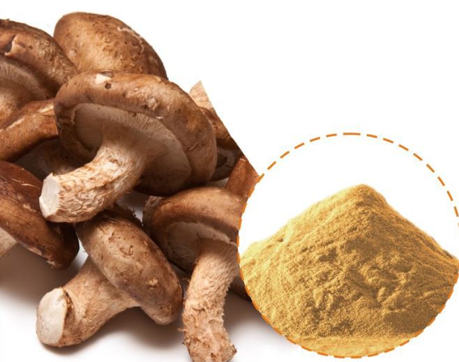 202204211207118fff54e21e6746fd94ab6bf423f8a39d 202204211207118fff54e21e6746fd94ab6bf423f8a39d