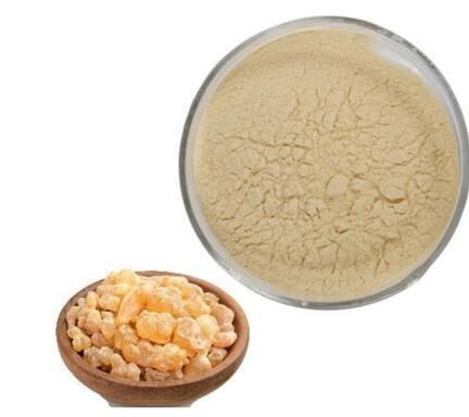 20220425133454a14d27dca4e7475a8102ab8470335c78-1 20220425133454a14d27dca4e7475a8102ab8470335c78-1