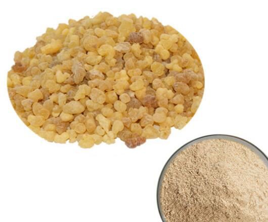 20220427164740c7879c1b16654c24b9fe459c06e2b35f 20220427164740c7879c1b16654c24b9fe459c06e2b35f