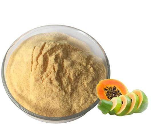 202205091556454ae13c3a08314a9c90cc8bb36826c480 202205091556454ae13c3a08314a9c90cc8bb36826c480