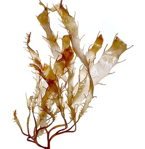 2022052013193486d8f50a356d4191916b74ce334e04fd 2022052013193486d8f50a356d4191916b74ce334e04fd