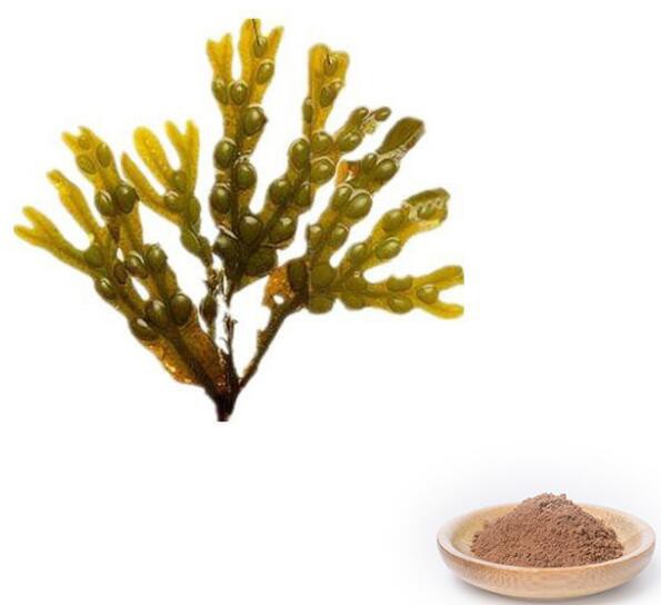 20220520135550594ef3b309534177b7ac31f6c99db497 20220520135550594ef3b309534177b7ac31f6c99db497