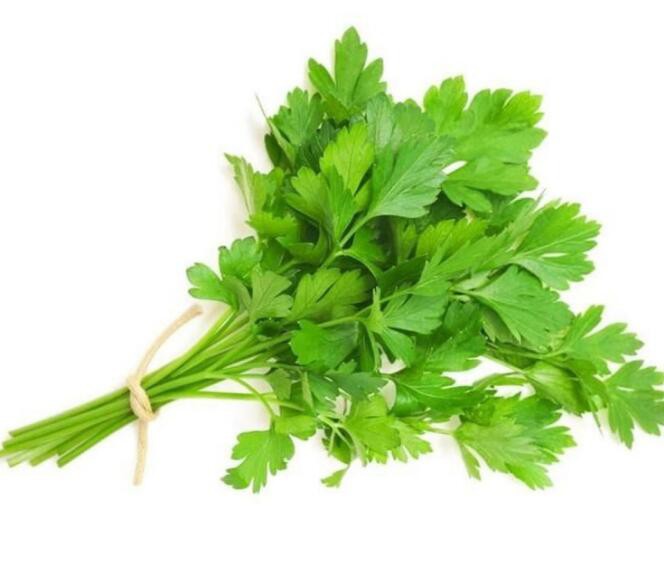 2022052014440256e85667e3994db9a0c57c7b7d2b9e10 2022052014440256e85667e3994db9a0c57c7b7d2b9e10