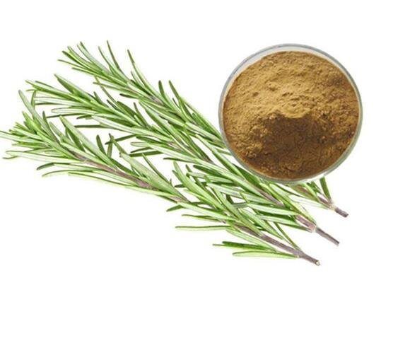 202206211408282840328b972d46f5ae2c9cc833ec0d2a 202206211408282840328b972d46f5ae2c9cc833ec0d2a