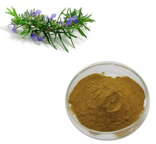 20220621142902ca5a5e00c91b4a67af4012566fc4f6a4 20220621142902ca5a5e00c91b4a67af4012566fc4f6a4