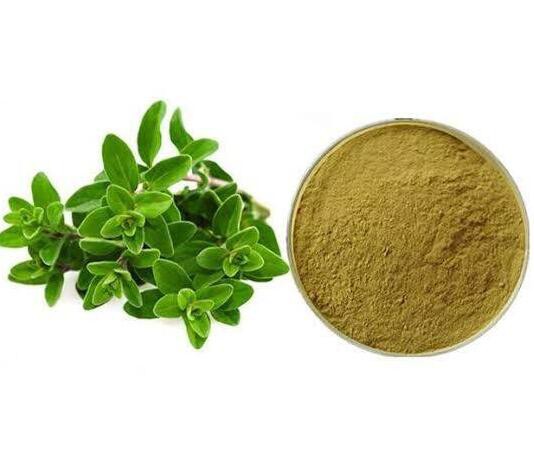 202206221444218e8851c5b972492ab5ee73939cef379b 202206221444218e8851c5b972492ab5ee73939cef379b